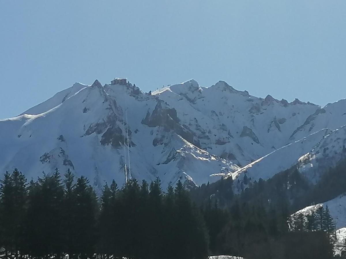 Coquelicot, Entre Volcans D Auvergne Et Sancy, Orcival. Buitenkant foto
